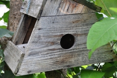 Cliquez sur la vignette pour l'agrandir